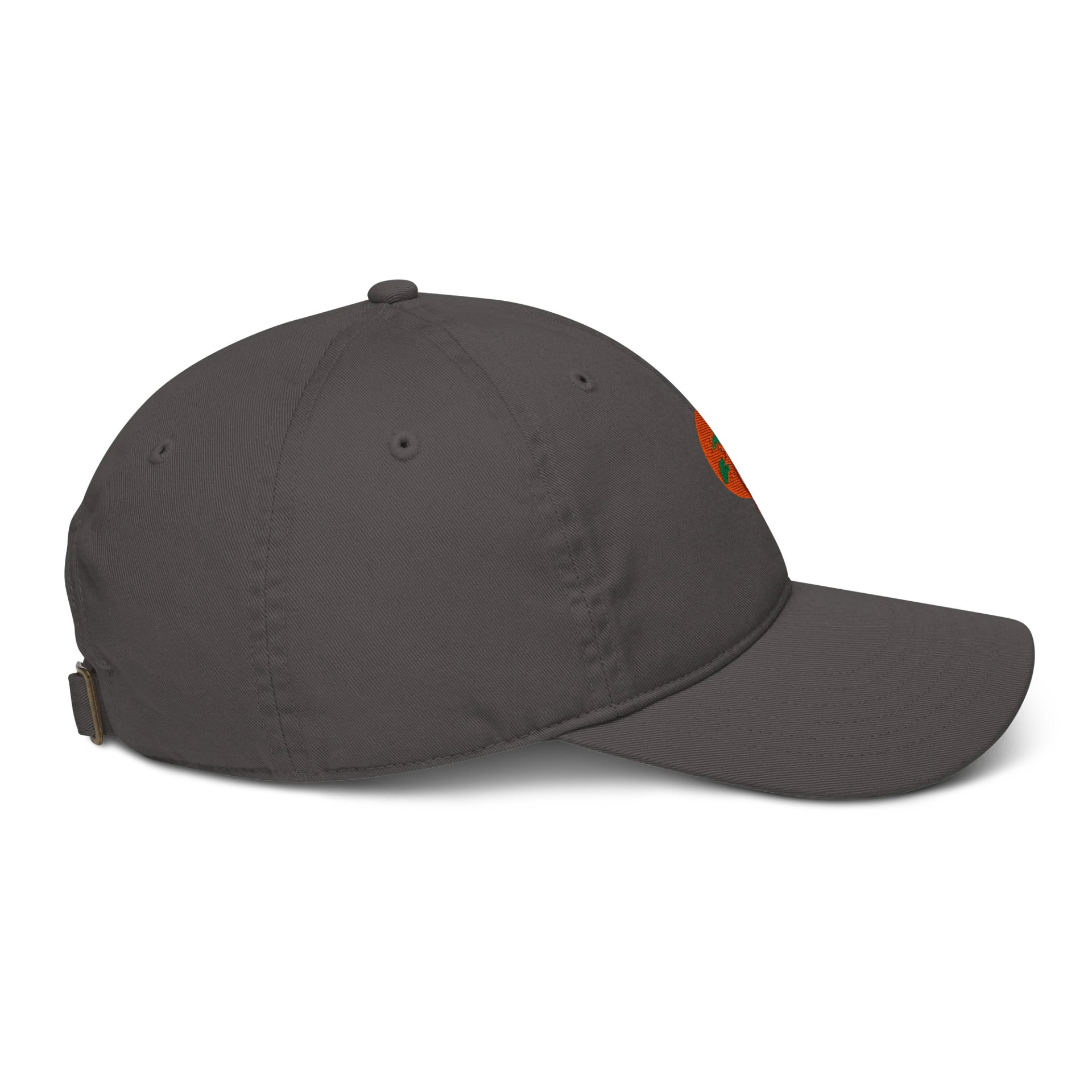 Organic Tree Circle Dad Hat product image (5)
