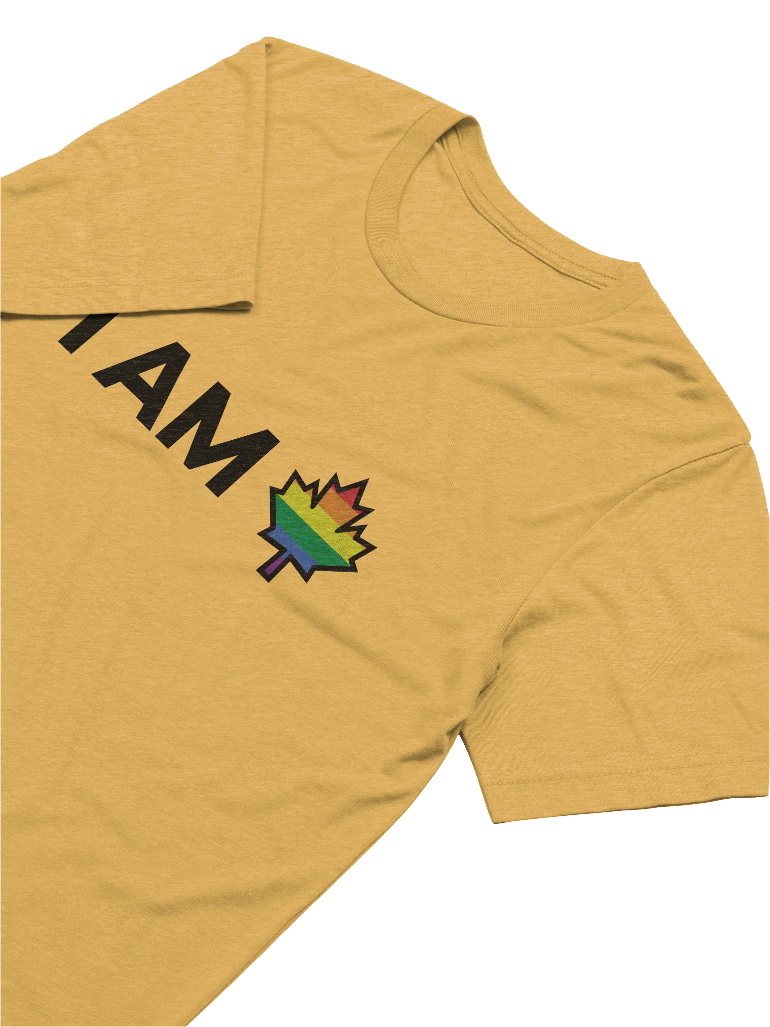 I AM Canada 2SLGBTQ+ Pride T-Shirt product image (6)