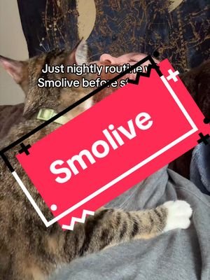 She has loud purrs.  #smolivethecat #lgbt #streamer #petsoftiktok #catsoftiktok 