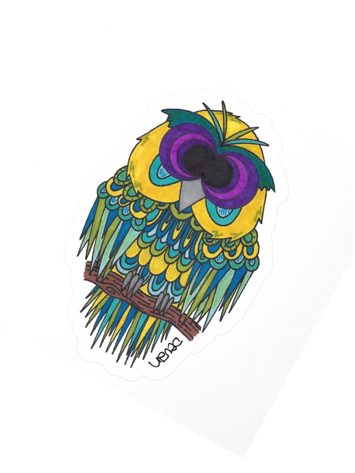 Cousins Owl: Star Sticker product image (2)