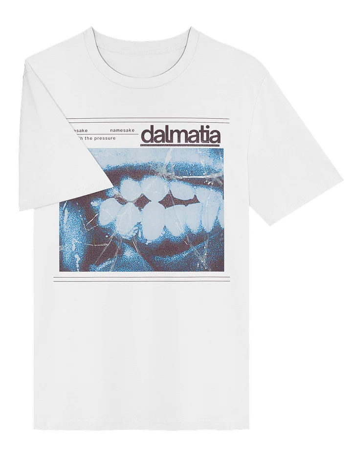 Dalmatia Namesake Tee product image (2)