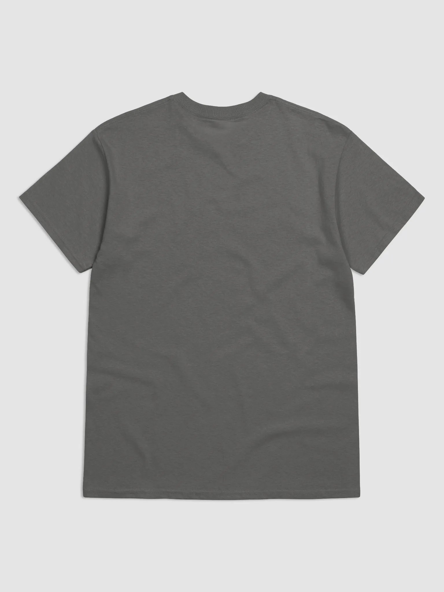 Women's Heavyweight T-Shirt GHFB0121 product image (4)