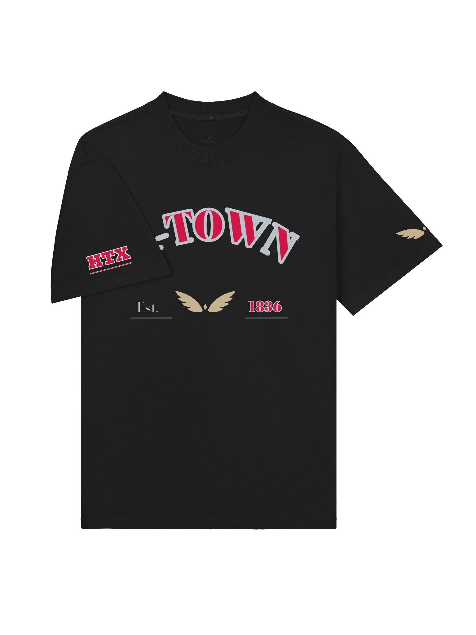 GAME DAY — Houston · Tee · Faded Black product image (3)