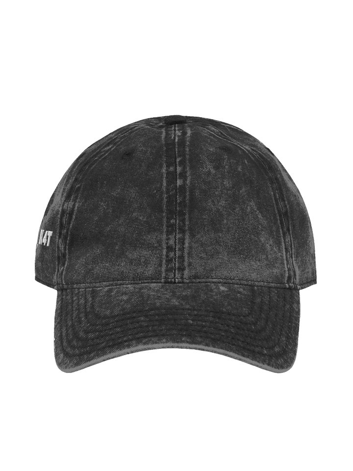 B1G_K4T Cat Dad Cap product image (1)