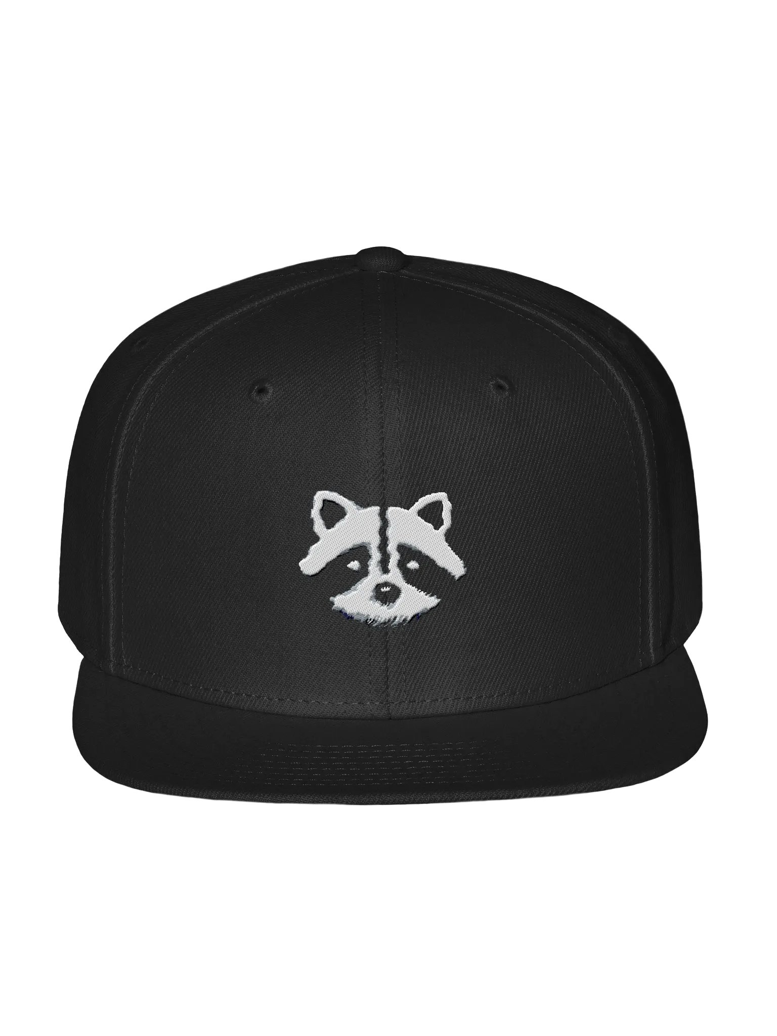 logo snapback product image (1)