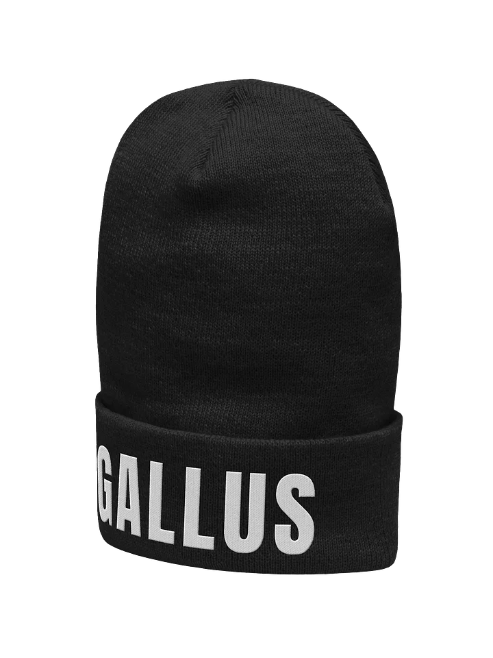 Gallus Beanie Large Font product image (2)
