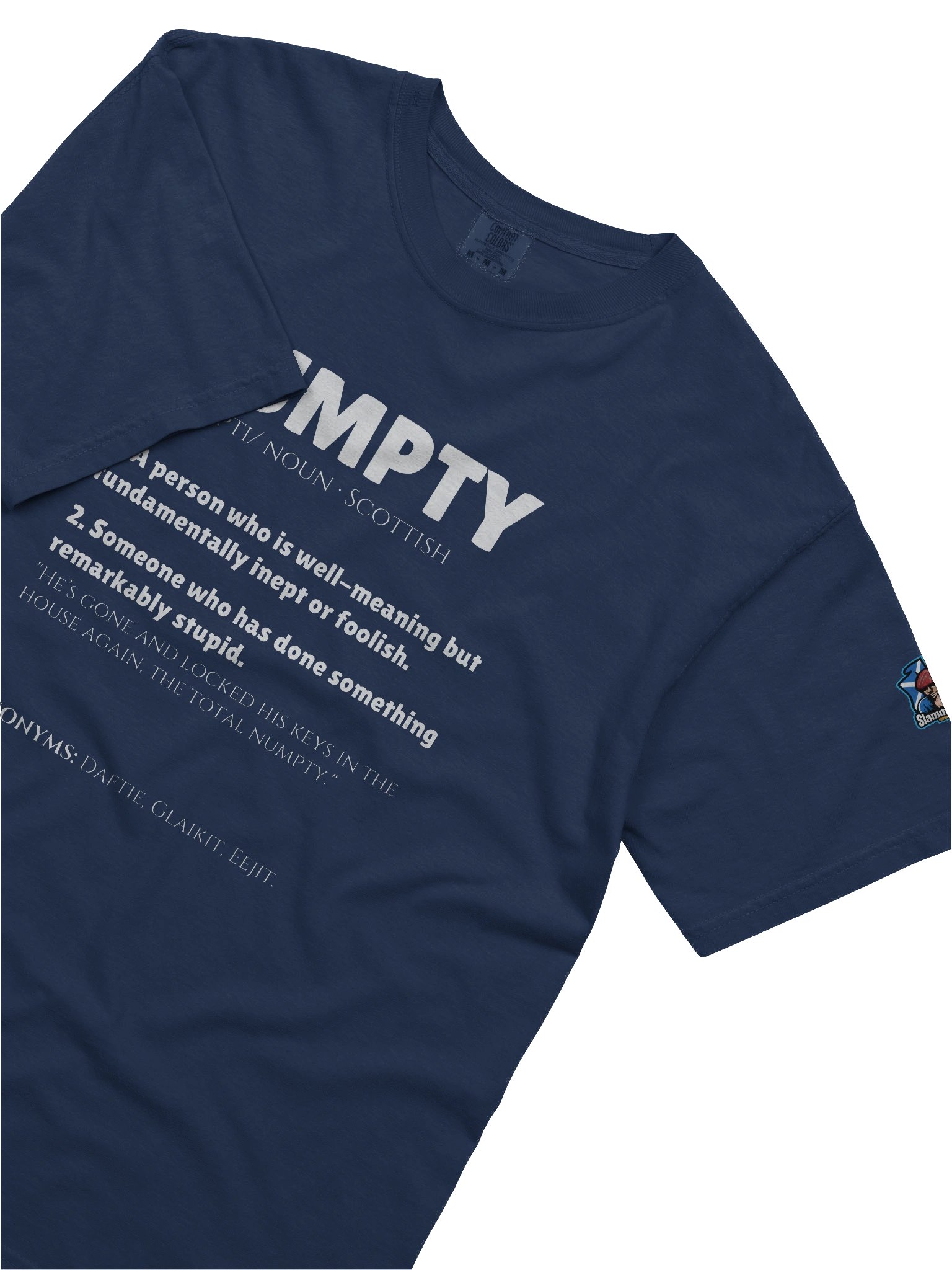 NUMPTY: The Classic Daftie Dictionary Tee product image (2)