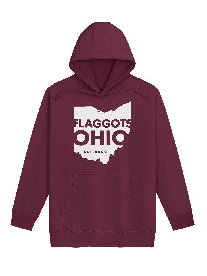 Adult Hoodie product image (1)