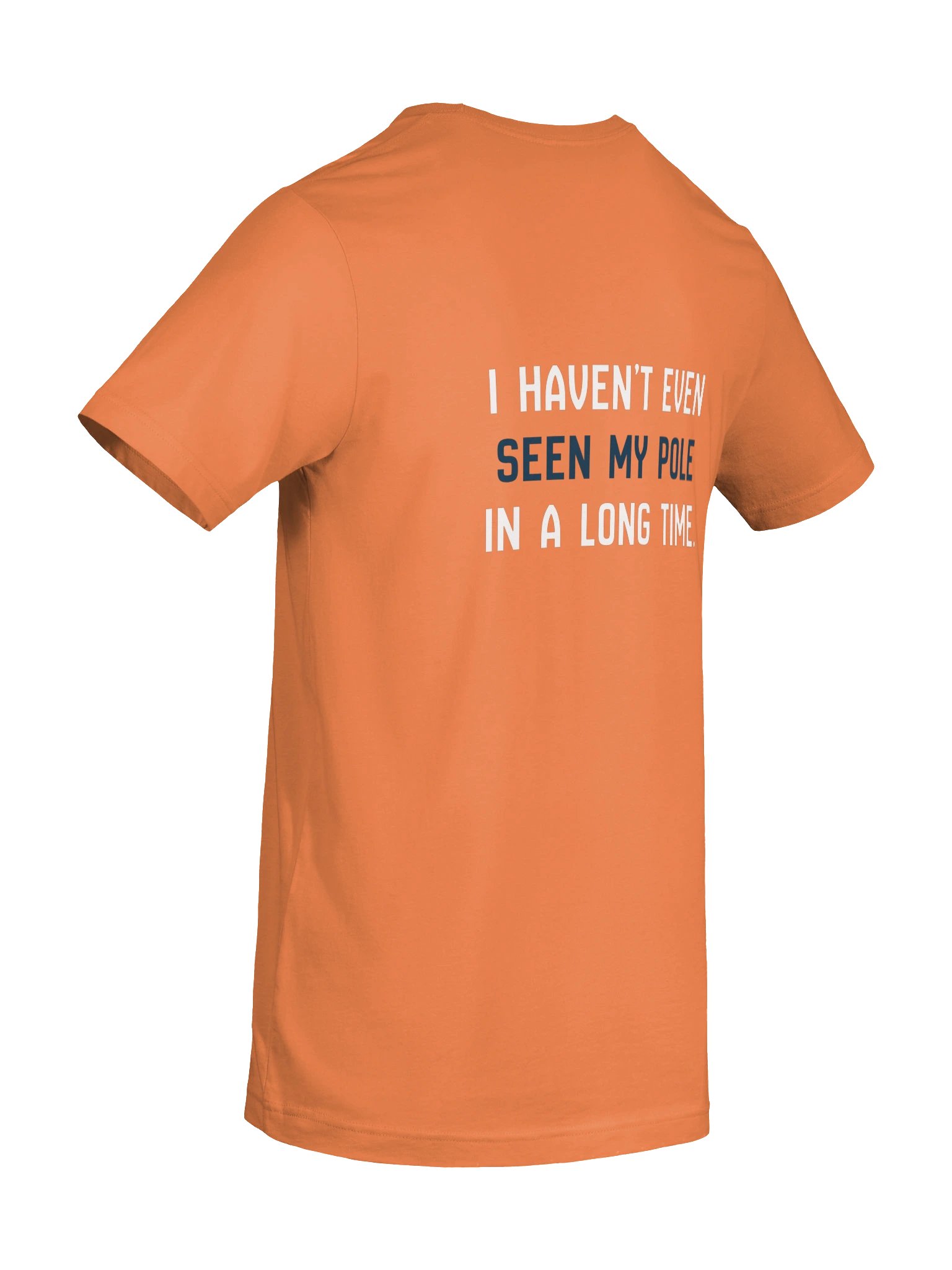 Haven't Even Seen My Pole Tee (Burnt Orange) product image (8)