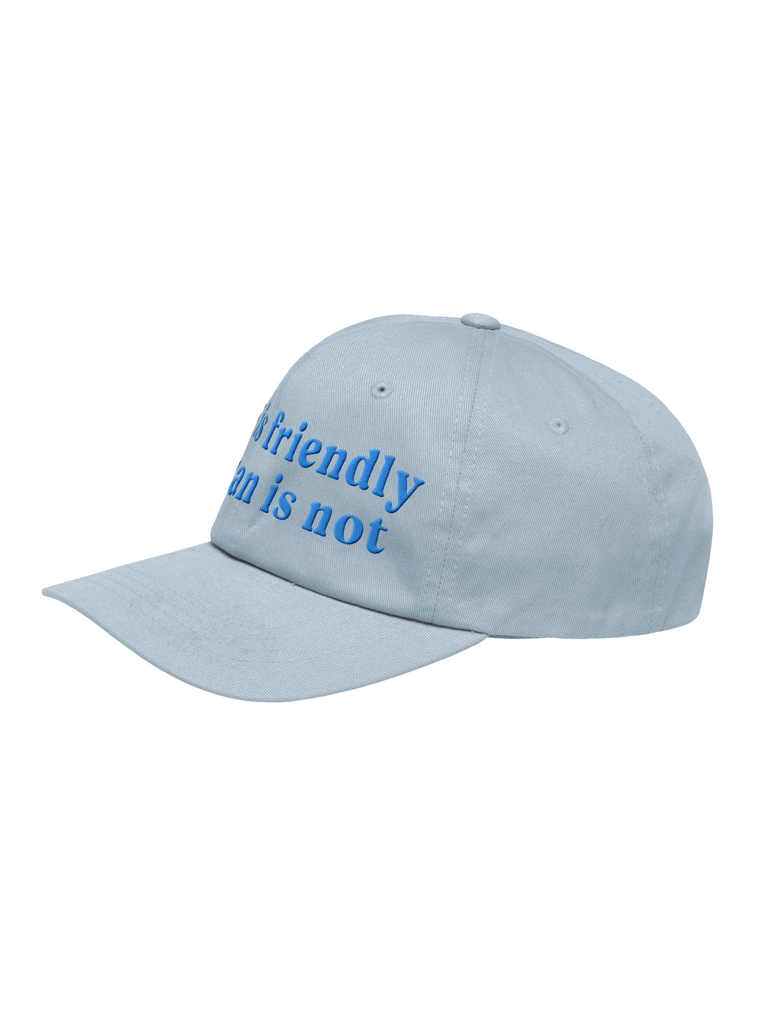 Dog Is Friendly. Human Is Not Classic Dad Hat(Embroidered) Low Contrast(Blue) product image (4)