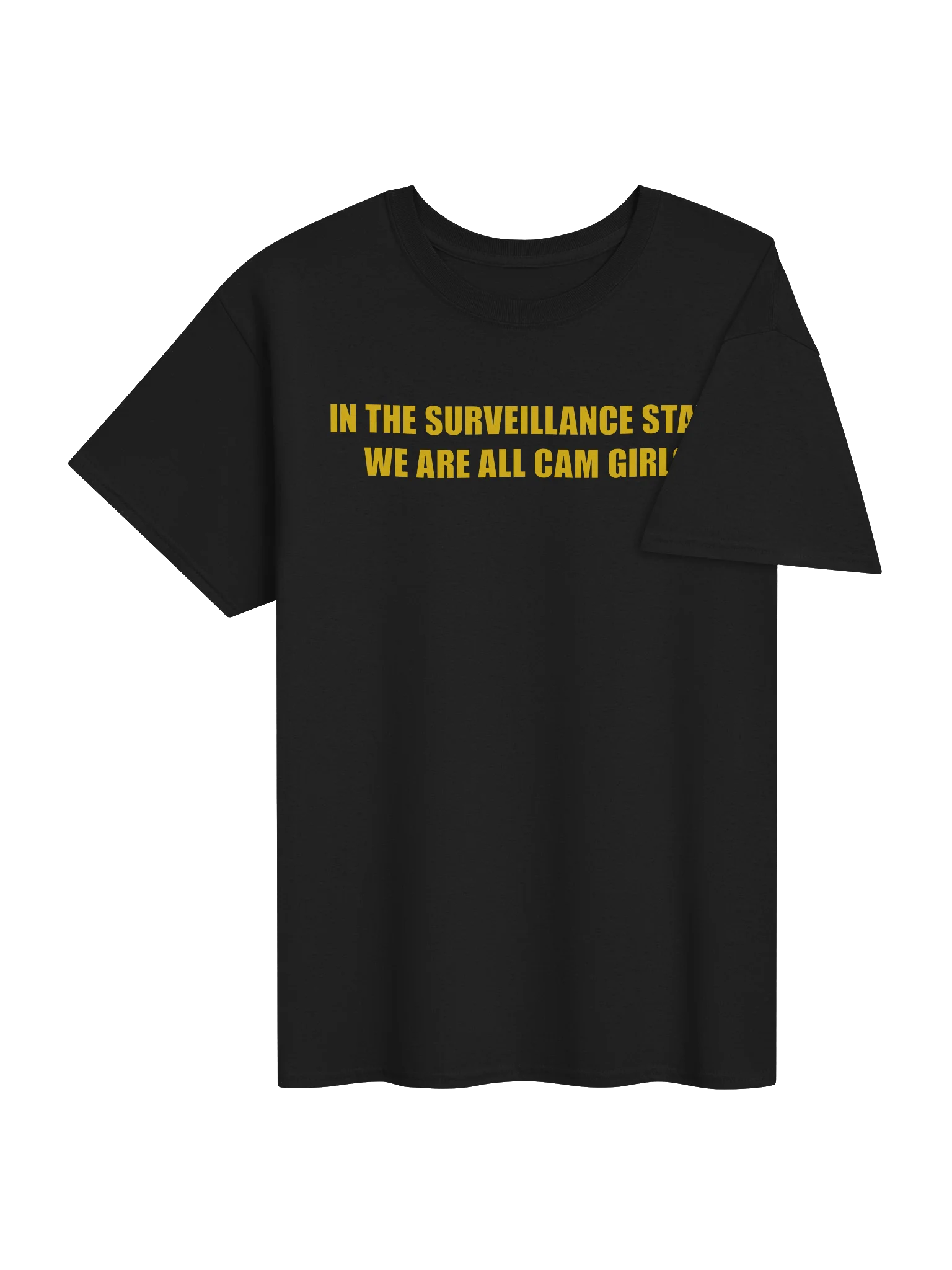 IN THE SURVEILLANCE STATE WE ARE ALL CAM GIRLS product image (37)
