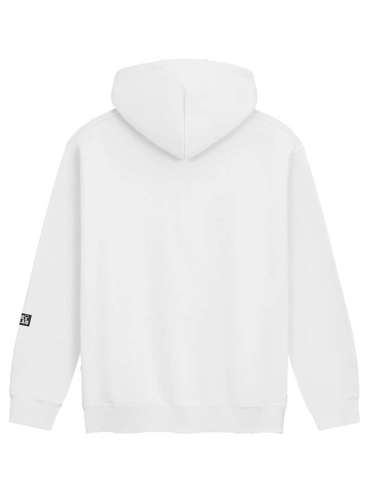 My Worldview Updates - Classic Hoodie product image (46)