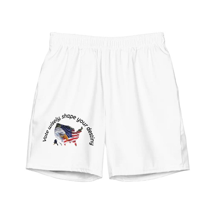 Vote wisely, shape your destiny. product image (2)