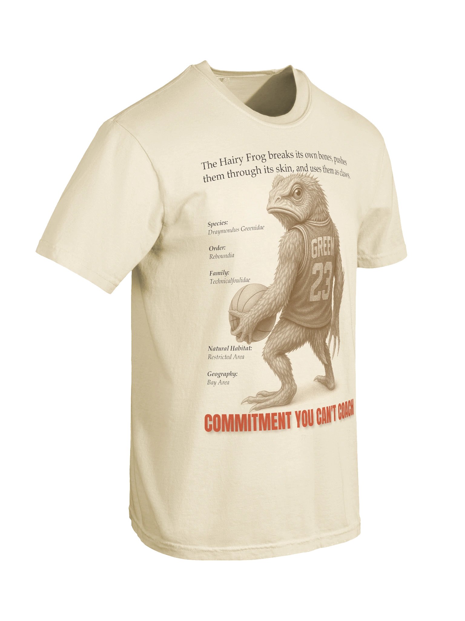 Commitment You Can't Coach product image (8)
