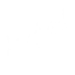 dream/journal