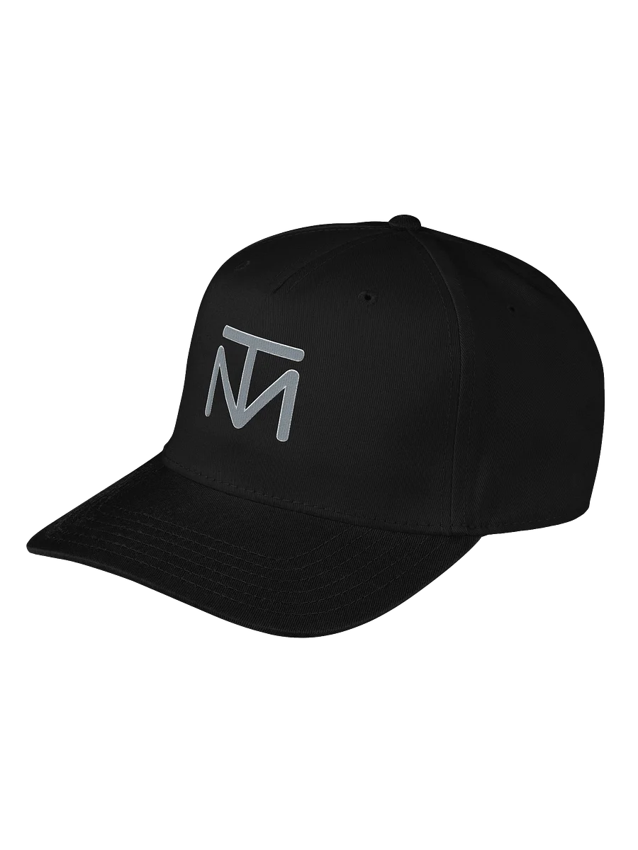 T-WEAR: "T" Symbol Grey/White Embodied Hat product image (3)