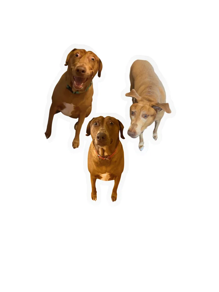 Official Belle Sticker Pack product image (1)