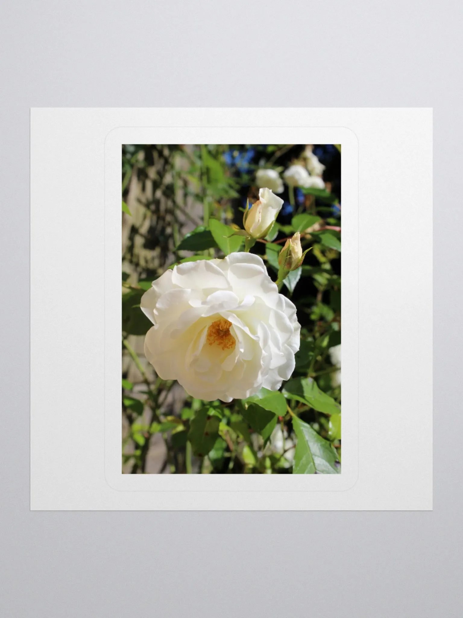 Bloom & Blossom Sticker Set product image (3)