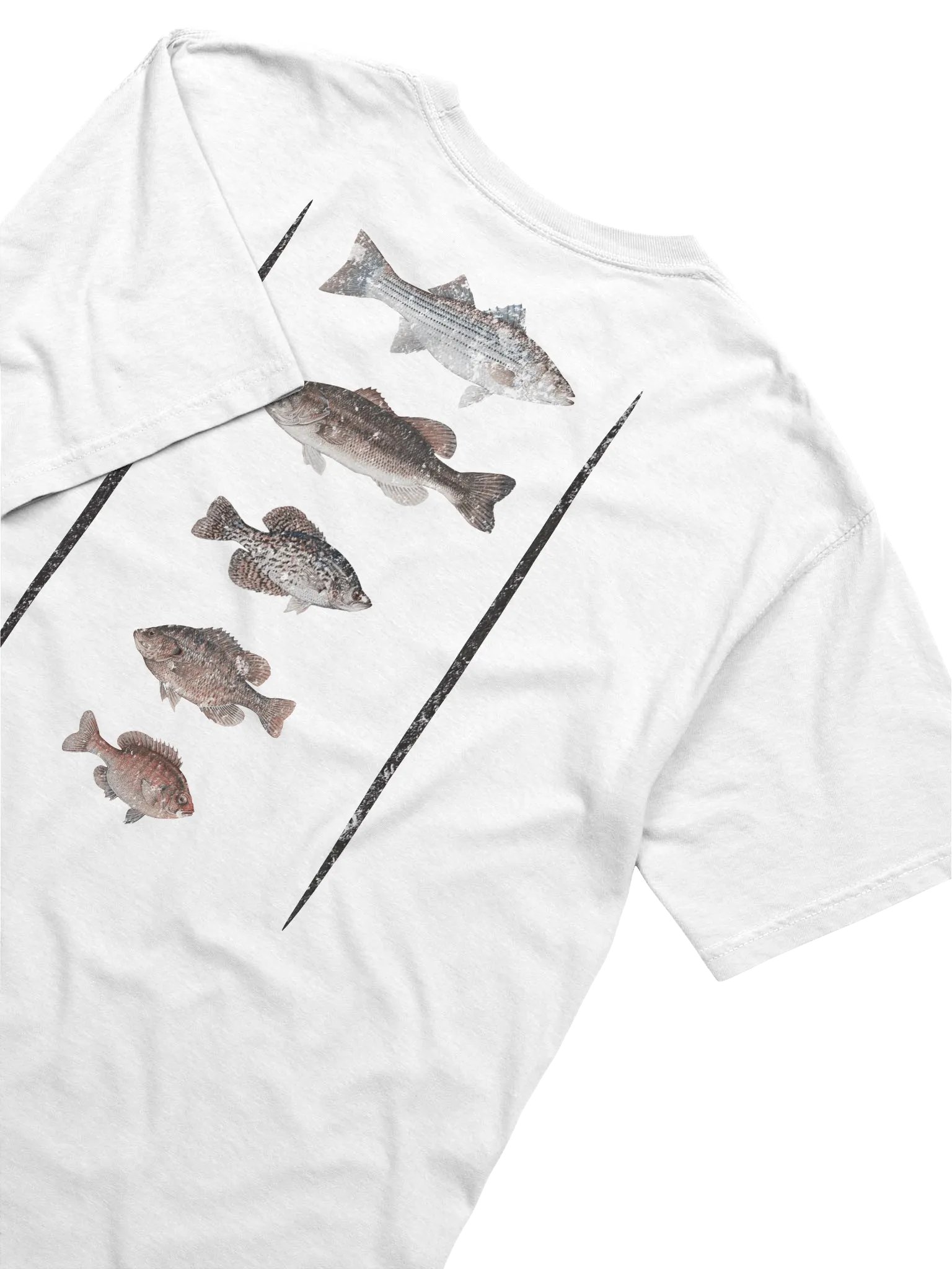 The Fish of Talquin product image (2)