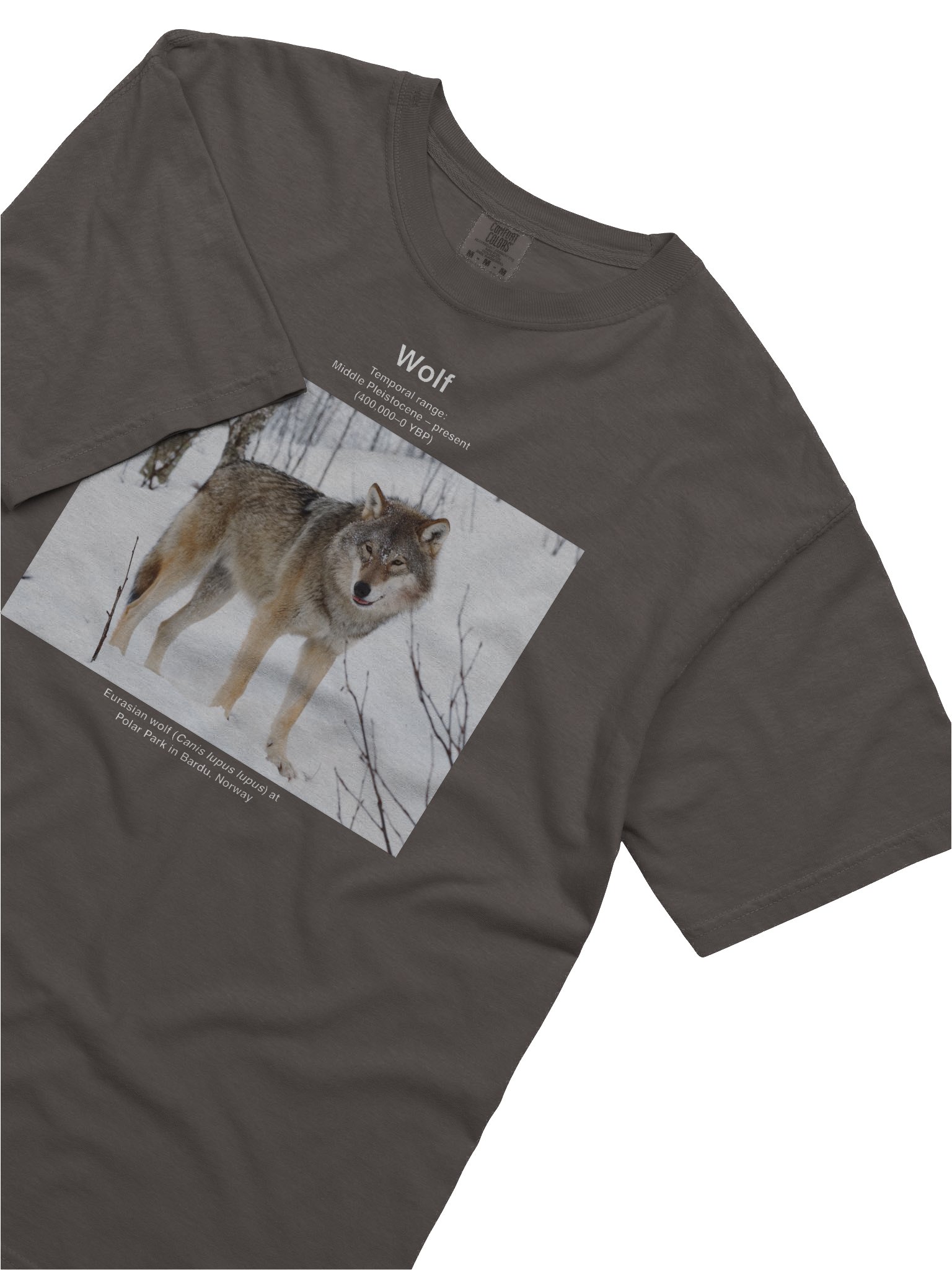 Wolf Wikishirt product image (5)