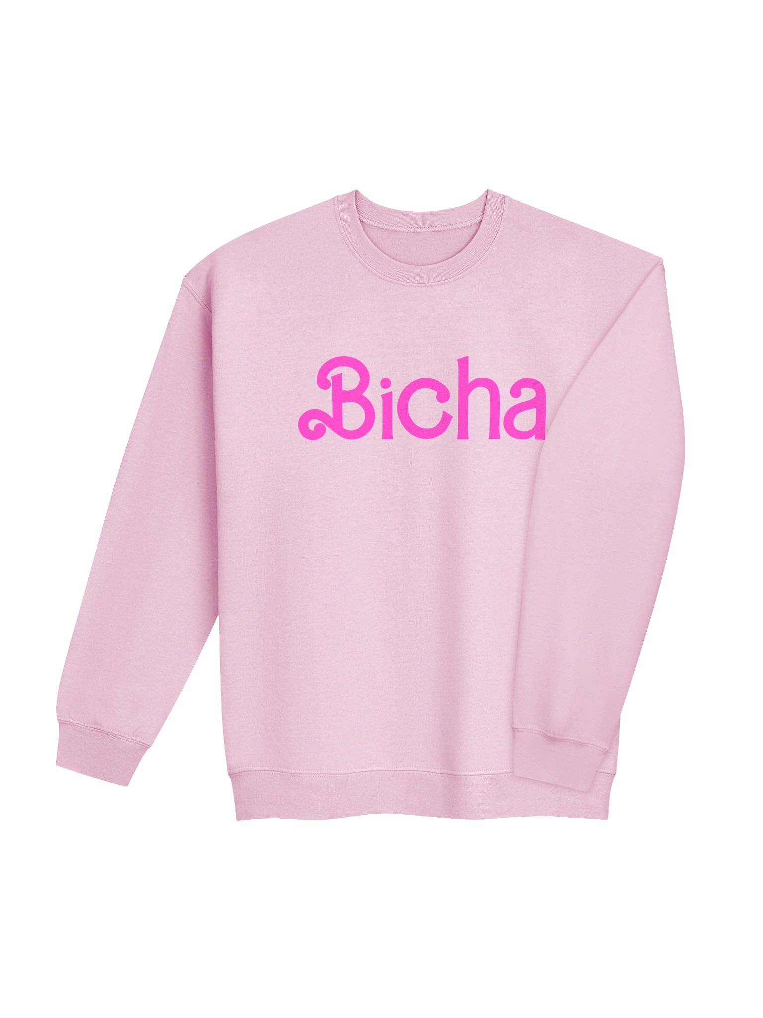 Bicha Sweatshirt product image (4)
