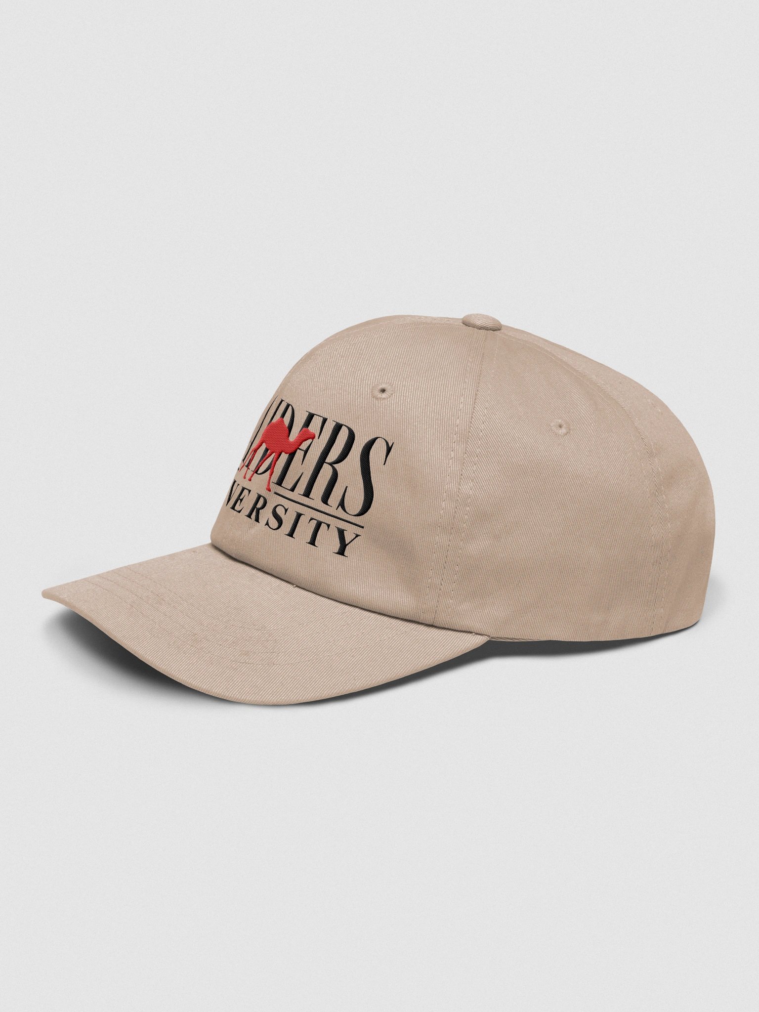 Raiders University Cap product image (3)