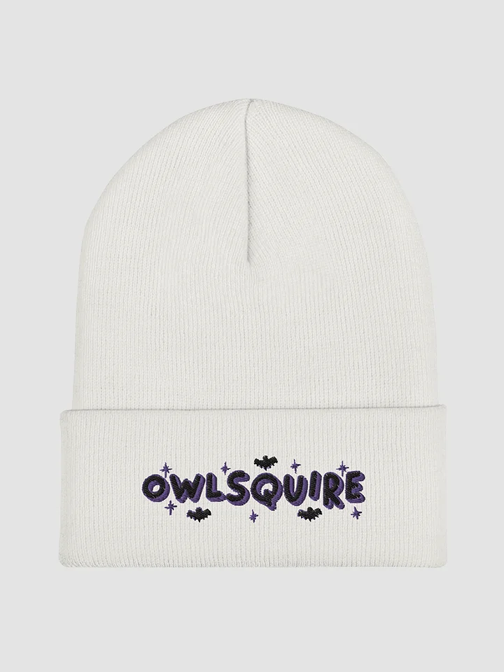 BATS Beanie (2022) product image (2)
