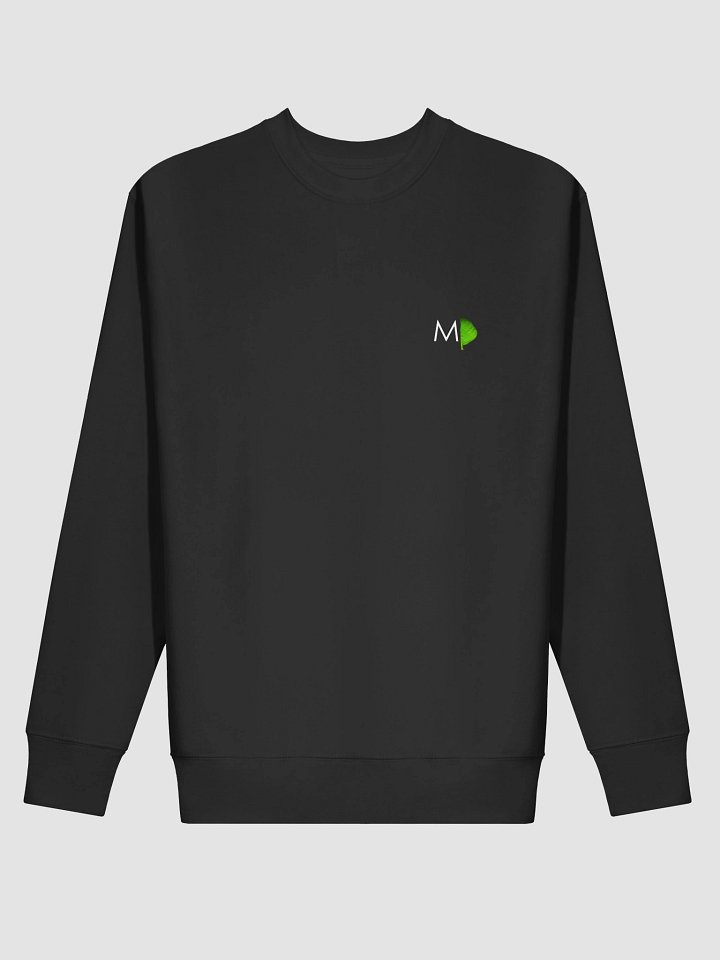 Naturalist - Angel BACK PRINT Sweatshirt product image (2)