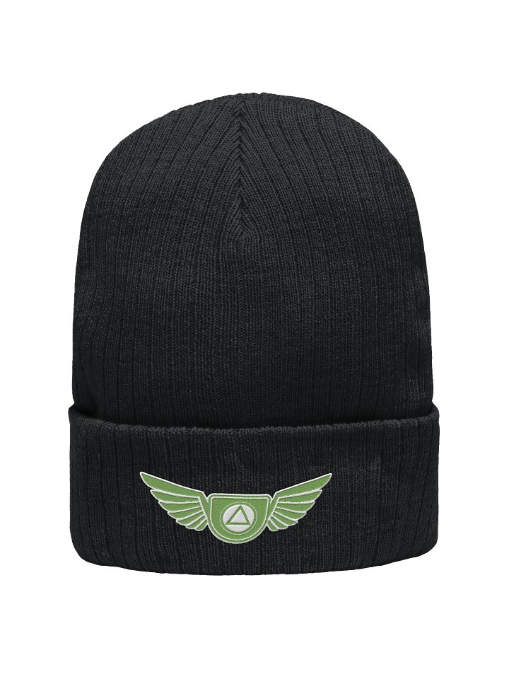 Guardian Angel Wings AA Beanie Hat | Kiwi Green Color Design product image (1)