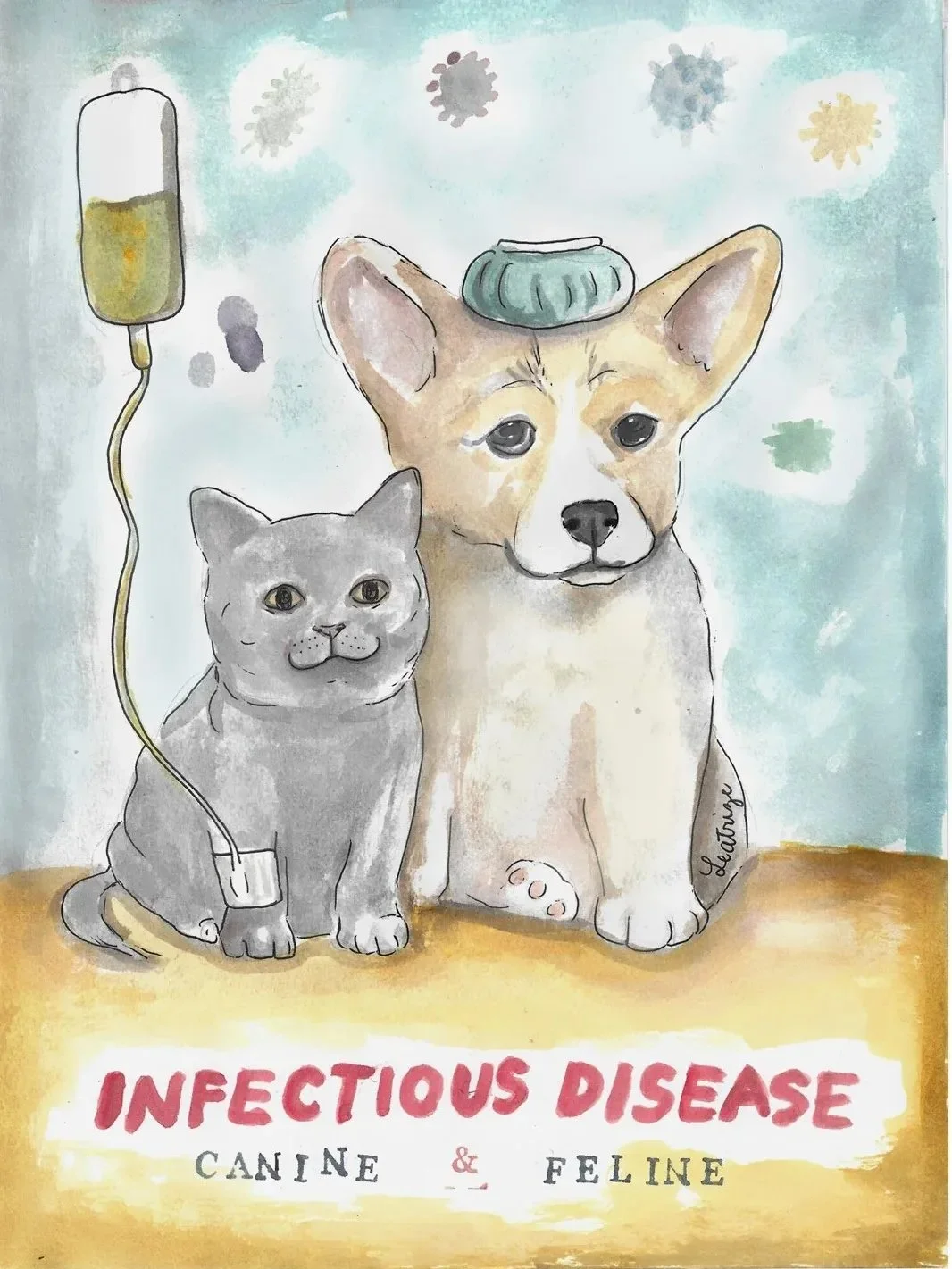 Animal Disease Vet Notes Bundle (PDF Downloads) product image (5)
