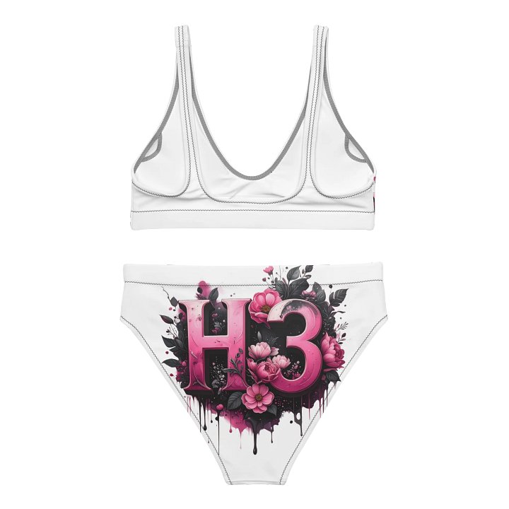 H3 high waisted Bikini product image (2)