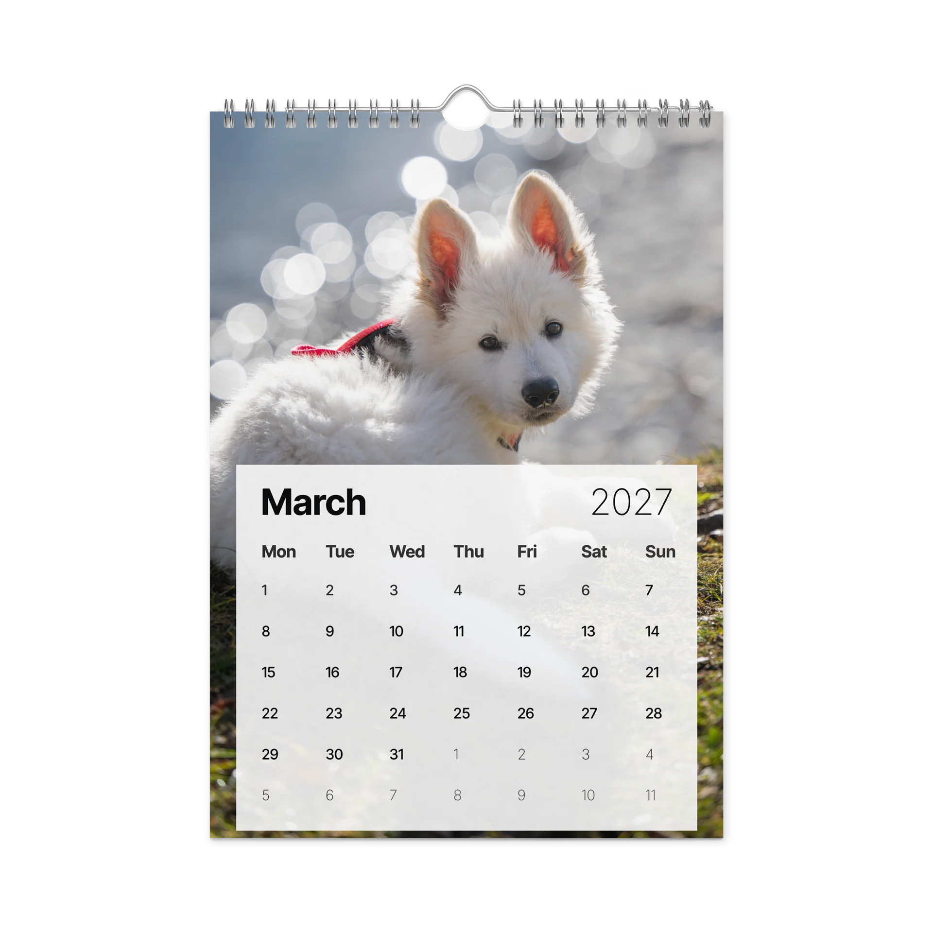 Lil Rasta Calendar 2027 product image (9)