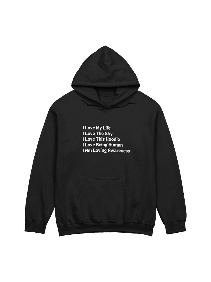 PLN Gildan Classic Hoodie product image (1)