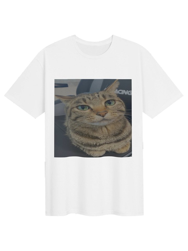 Catshirt product image (1)