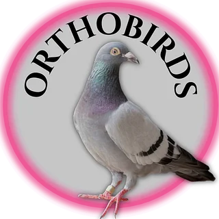 Orthobirds