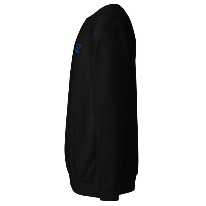 BTW long sleeve T product image (11)
