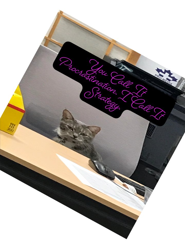 Strategic Procrastination Cat Kiss Cut Stickers product image (4)