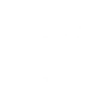Reign E-Sports