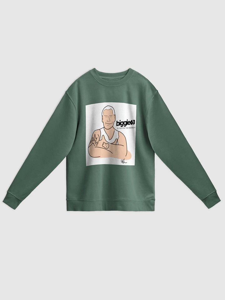 Nn420 Sweatshirt product image (1)