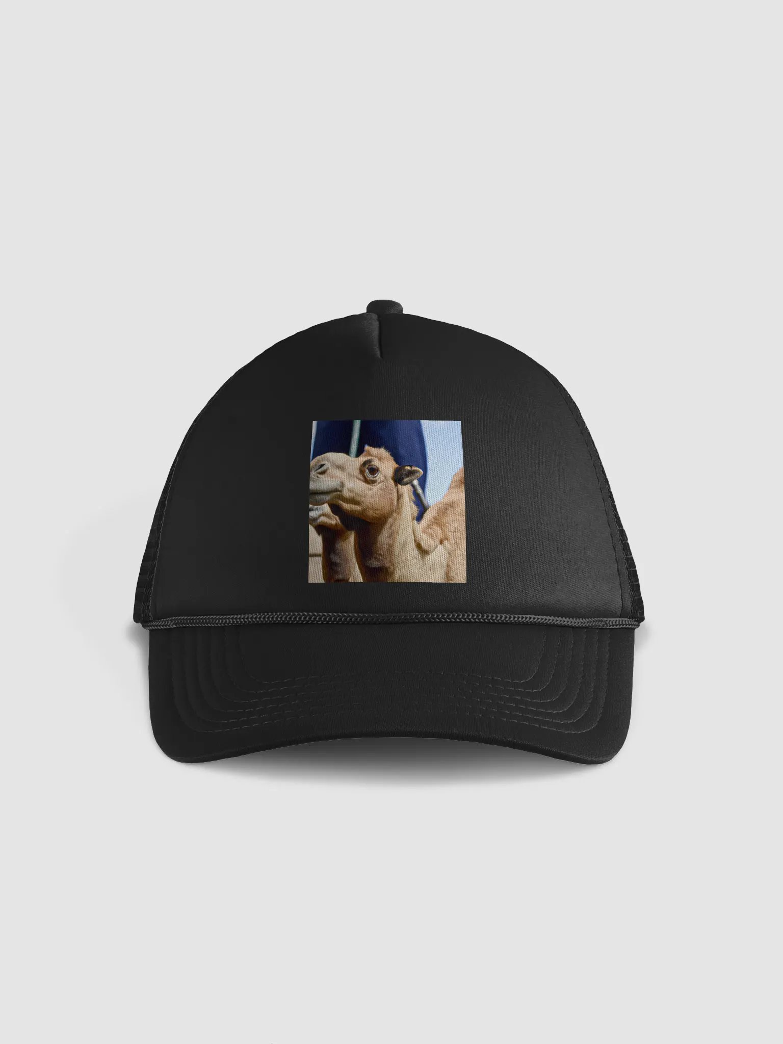 casquette camel product image (1)