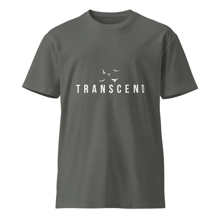 Transcend Unisex Grey T-Shirt product image (1)