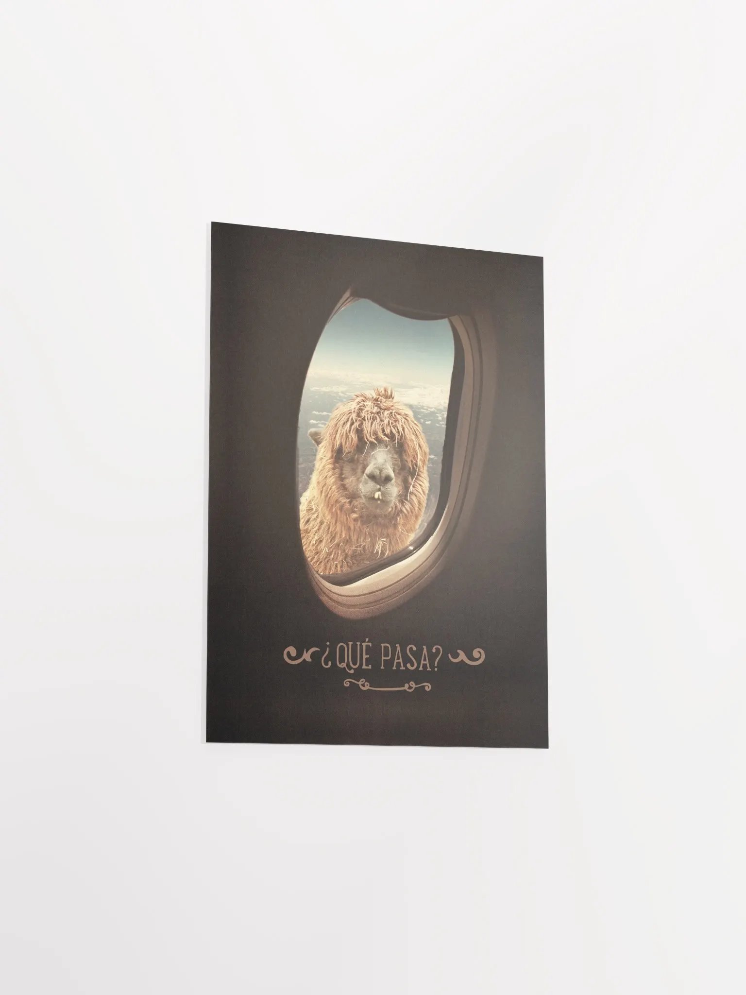 Llama's Perspective Poster "¿Que Pasa?" product image (22)