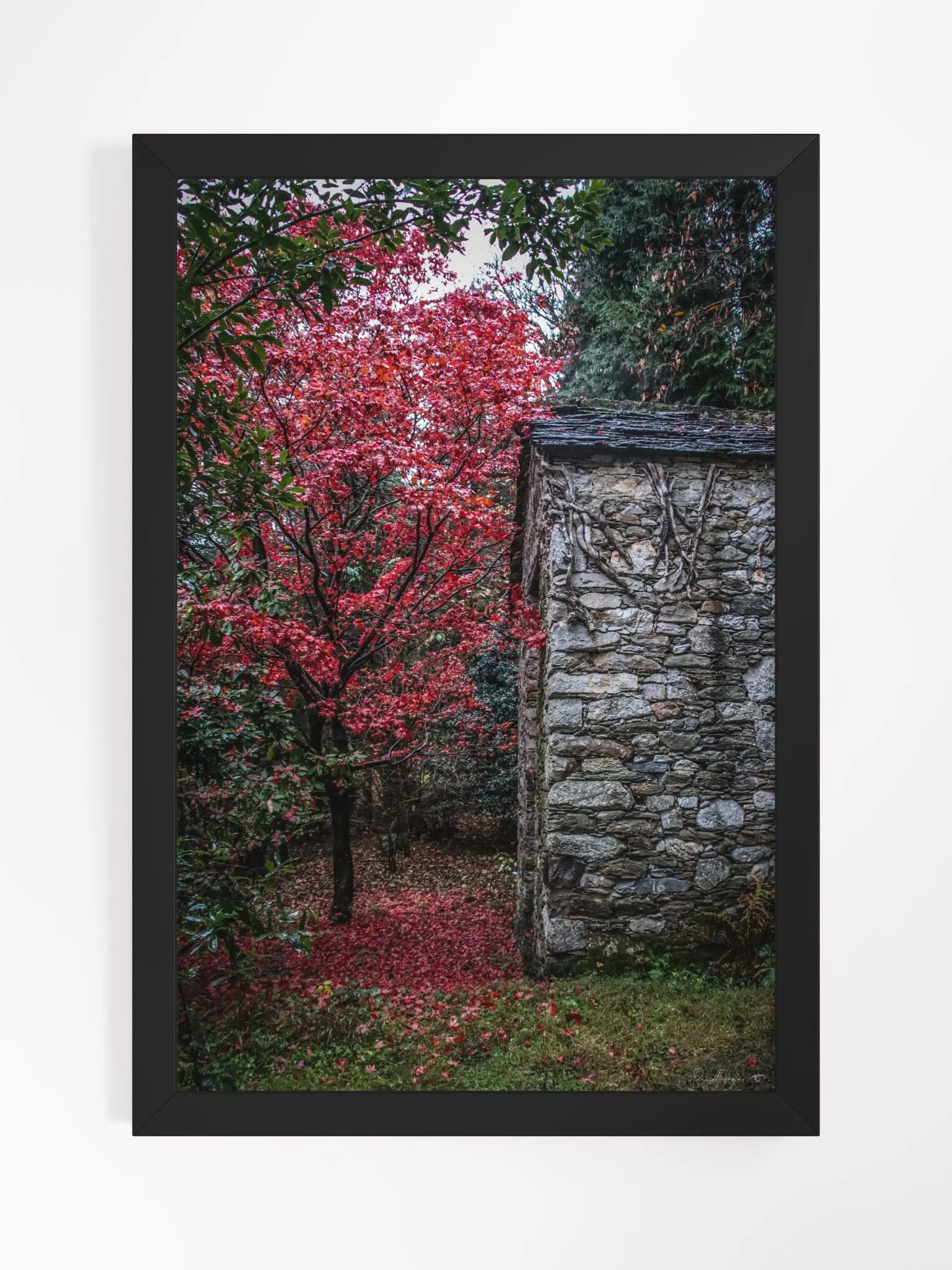 Print Fine Art - Fine Art - The Forgotten Sanctuary product image (2)