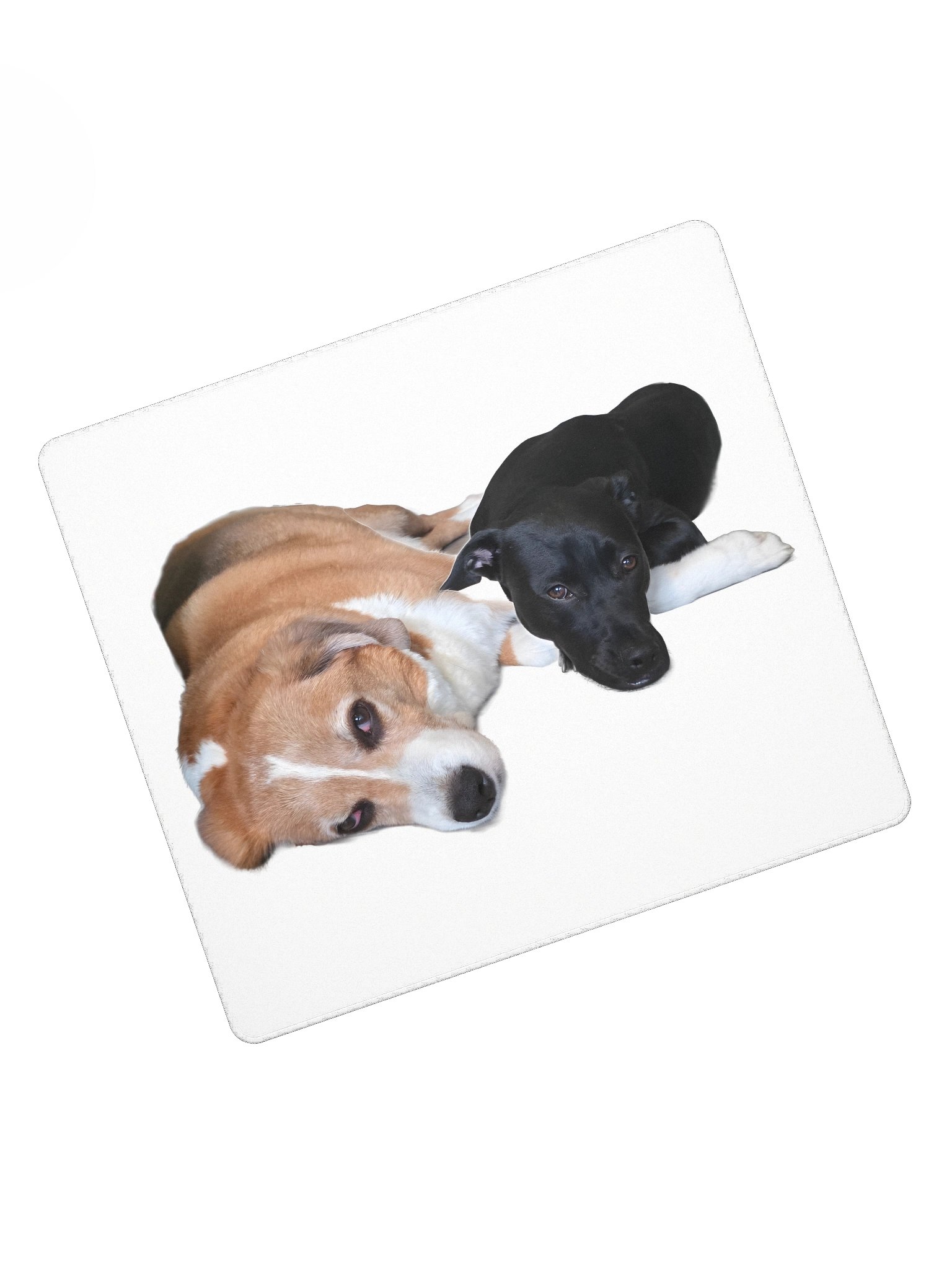 Murphy and Shadow Gaming Mouse Pad product image (8)