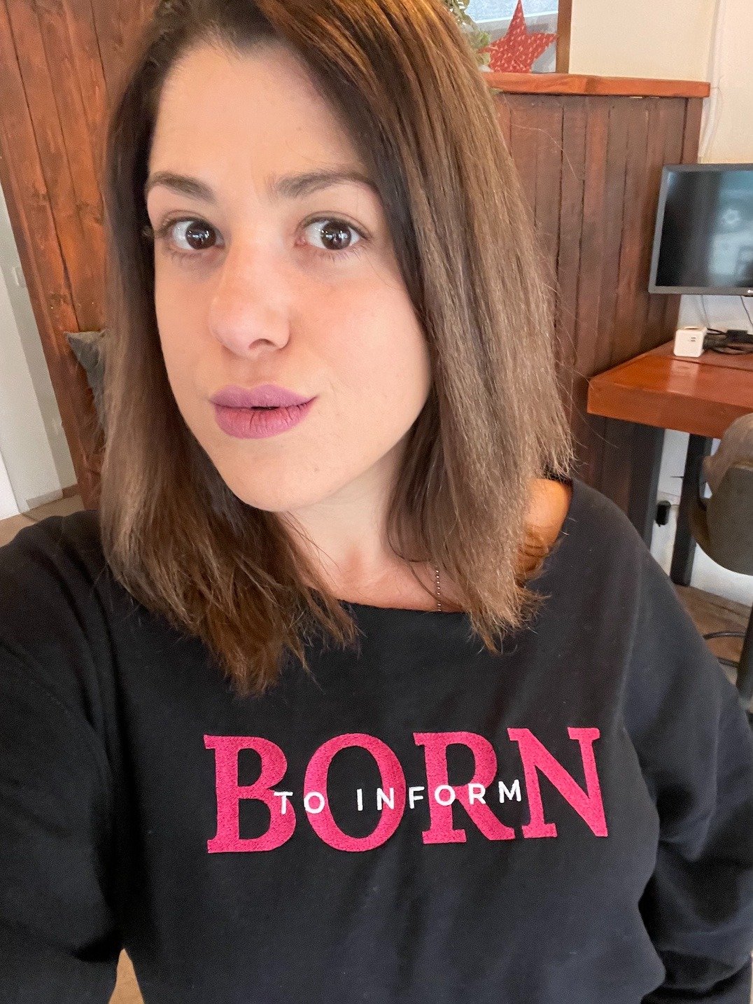 Born to Inform Manifestor Embroidered Sweatshirt (Pink) product image (1)