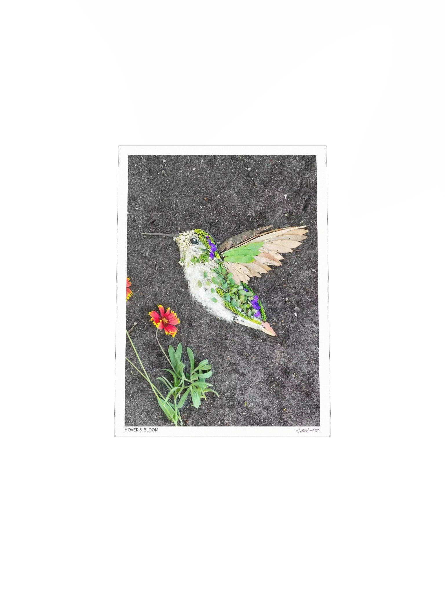 HOVER & BLOOM | Fine Art Print product image (5)