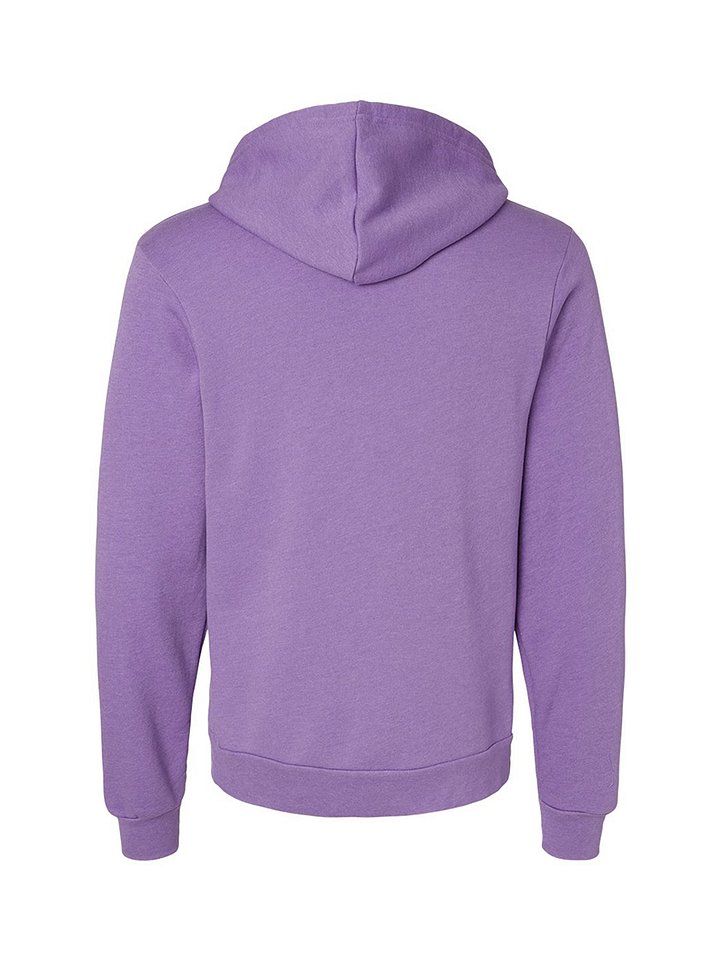 Amira Learning - Sponge Fleece Hoodie product image (2)