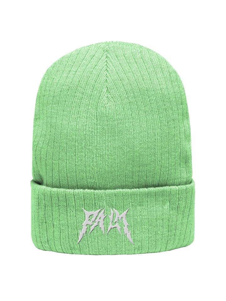 PalmTopBeanie product image (1)