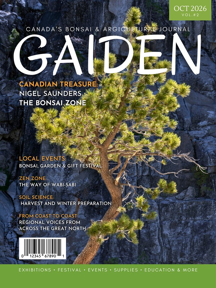 GAIDEN: 1/3 PG Ad Insert product image (2)