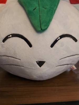 Cotton Catty is the chosen stuffy! #food #cute #plushies #cat #stuffedanimals 
